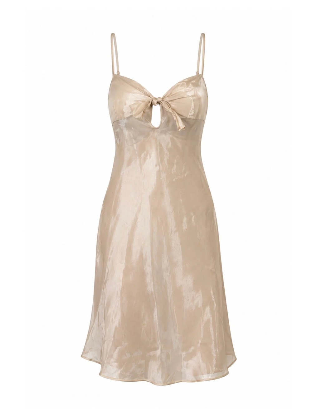S/S 2003 Christian Dior by John Galliano Sheer Champagne Nude Silk Slip Dress